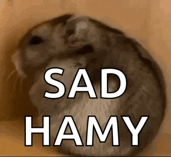 a close up of a hamster with the words `` sad hamy '' written above it .