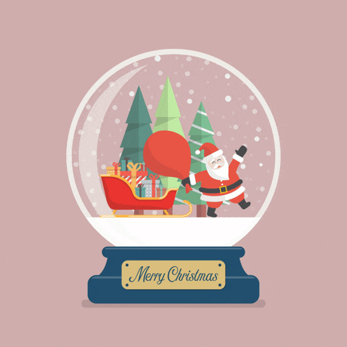 a snow globe that says merry christmas with santa in it