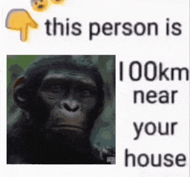 this person is 100km near your house with a picture of a chimpanzee .