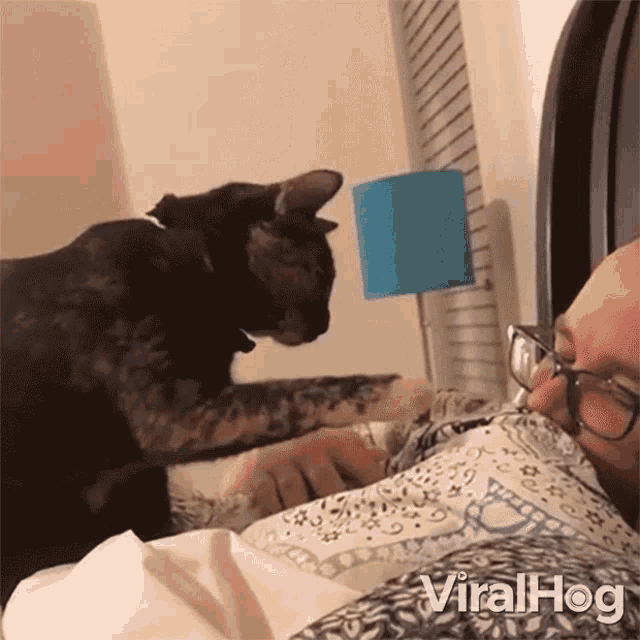 Wake Up Viralhog GIF - Wake Up Viralhog Are You Awake Yet GIFs