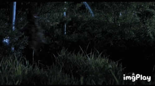Jurassic Park Dont Go GIF - Jurassic Park Dont Go Long Grass GIFs