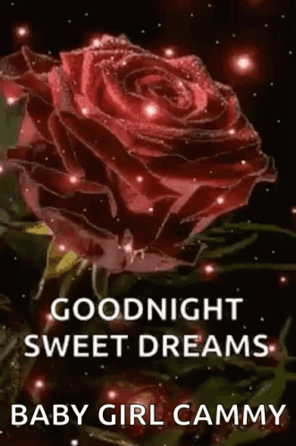 Good Night Sweet Dreams GIF - Good Night Night Sweet Dreams GIFs