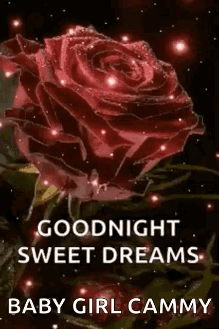 a red rose with the words `` goodnight sweet dreams baby girl cammy ''