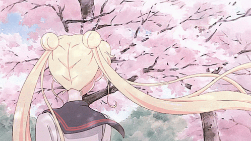 Sakura Anime GIF