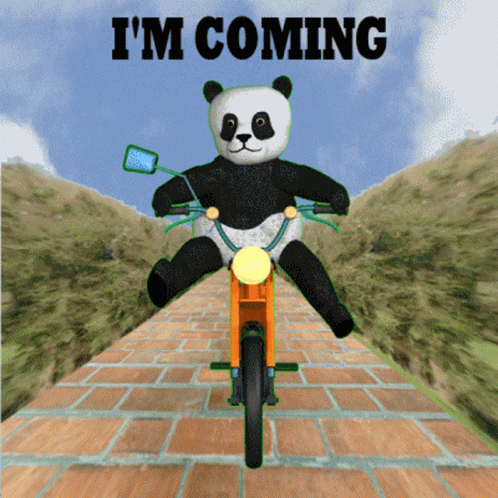 Im Coming Im On My Way GIF - Im Coming Im On My Way Panda On Moped GIFs
