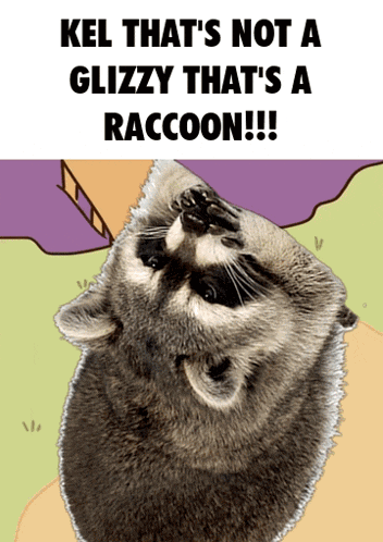 a picture of a raccoon with the words kel that 's not a glizzy that 's a raccoon