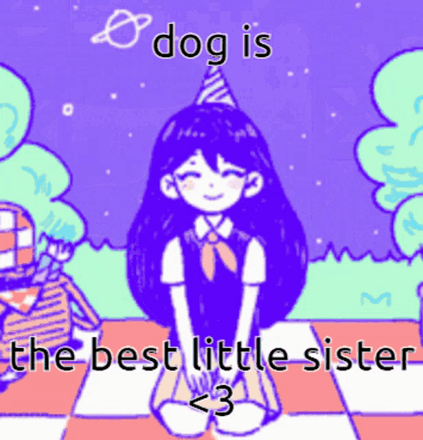 a picture of a girl with a party hat and the words dog is the best little sister < 3