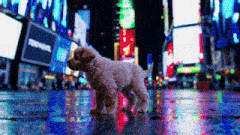a puppy standing on a wet street in front of a sign that says techni