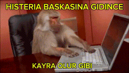 a monkey is typing on a laptop with the words histeria baskasina gidince kayra olur gibi