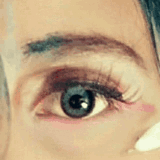 a close up of a woman 's eye with long eyelashes and a black eyebrow