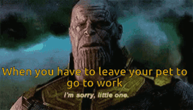 thanos from the movie avengers says " when you have to leave your pet to go to work i 'm sorry little one "