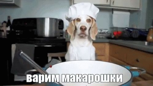 макароны макарошки спагетти собака готовим кухня GIF