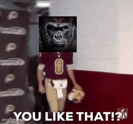 You Like That Gorilla GIF - You Like That Gorilla Kirk GIFs
