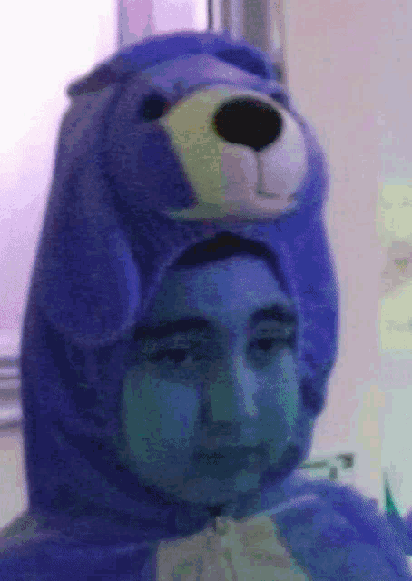 a person is wearing a purple teddy bear costume