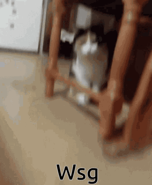 a cat is sitting under a table with the word wsg written on the bottom