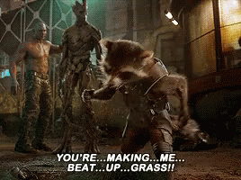 Youre Making Me Beat Up Grass Guardians Of The Galaxy GIF - Youre Making Me Beat Up Grass Guardians Of The Galaxy Rocket Racoon GIFs