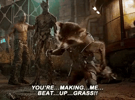rocket raccoon from guardians of the galaxy says you 're making me beat up grass !!