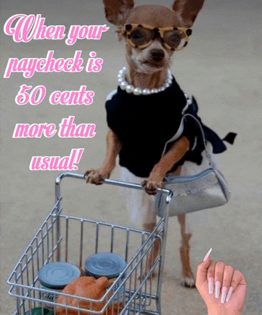 a chihuahua wearing sunglasses and a pearl necklace pushes a shopping cart full of groceries