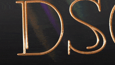 a picture of a man with glasses and the words dsg escape on the bottom