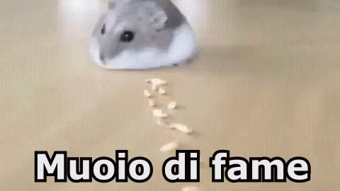 Muoio Fame Affamato Fame Convulsiva Criceto GIF - I Die Hungry Starved GIFs