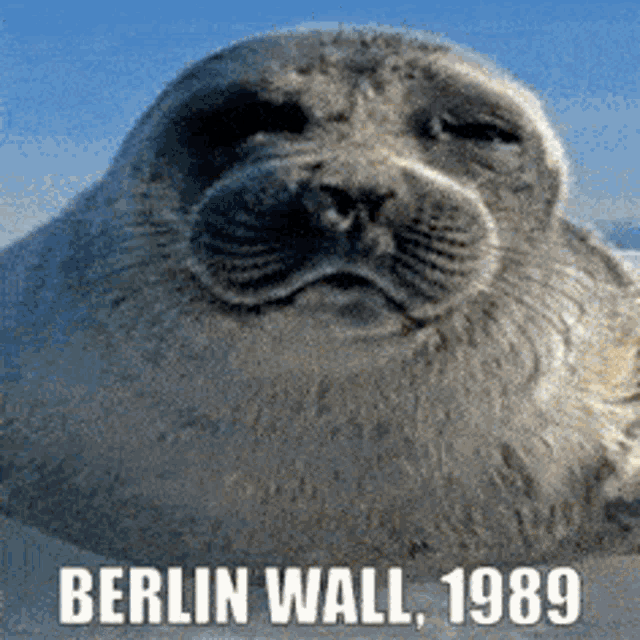 a picture of a seal with the year 1989 on it