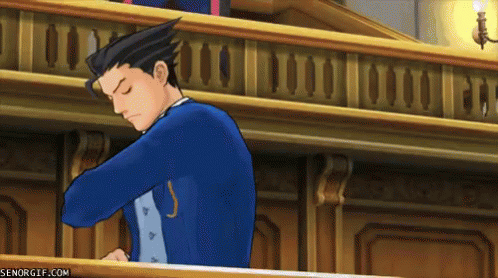 objection-court.gif