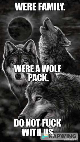 Wolf Pack Family GIF - Wolf Pack Family Badass GIFs