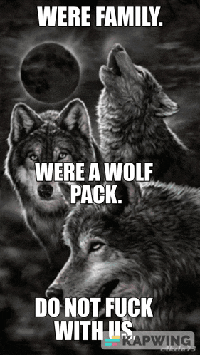a picture of three wolves with the caption " were family were a wolf pack "