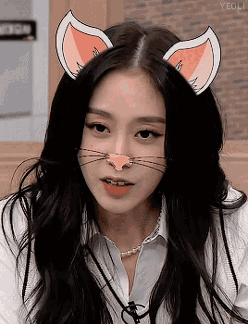 a close up of a woman wearing cat ears and nose