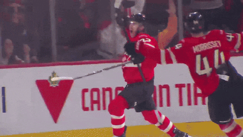 a hockey player in a red jersey with morrissey 41 on the back