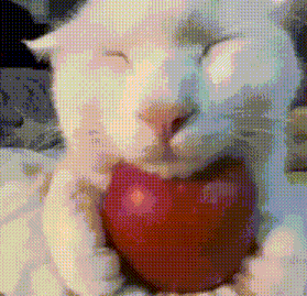 Borgarland Applecat GIF - Borgarland Applecat GIFs