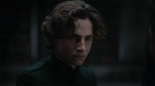 Angry Timothee Chalamet GIF - Angry Timothee Chalamet Paul Atreides GIFs