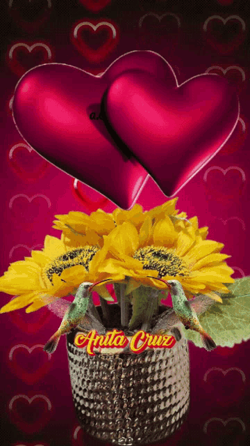 a picture of a sunflower and two hummingbirds with the name anita cruz on the bottom
