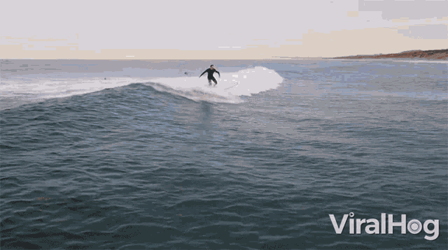 Surfing Viralhog GIF - Surfing Viralhog Drone Attack GIFs