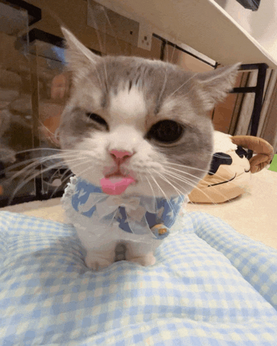 a cat with pink lipstick on its lips is sitting on a bed