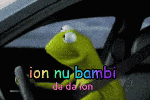 Ion Moiseenco Kermit GIF - Ion Moiseenco Kermit Driver GIFs