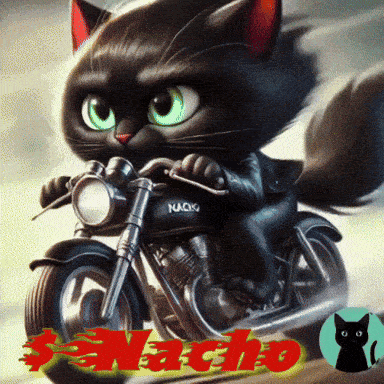 a black cat is riding a motorcycle with nacho written in red