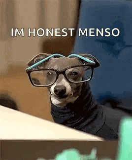 a dog wearing glasses is sitting at a table .
