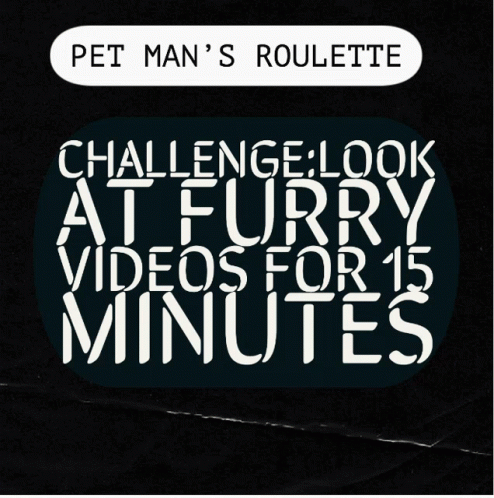 Pet Man Roulette GIF - Pet Man Roulette GIFs