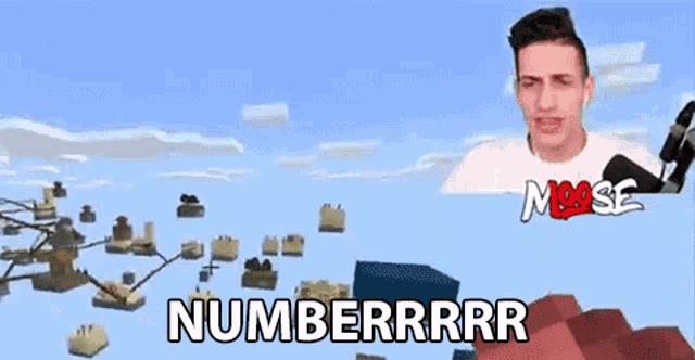 a man is playing a video game and says numberrrrr in front of a minecraft world .