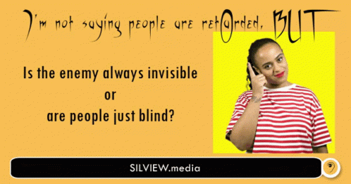 Silview Blind GIF - Silview Blind Enemy Always Blind GIFs