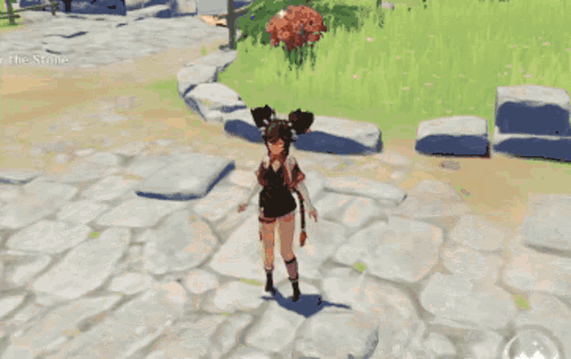 a screenshot of a video game that says the stone on the bottom left