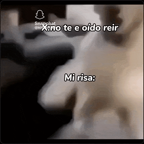 a snapchat video of a dog with the words `` mi risa '' written on the bottom .