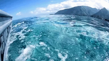 Tahiti Ocean GIF - Tahiti Ocean Surf GIFs