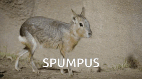 Spumpus GIF - Spumpus GIFs