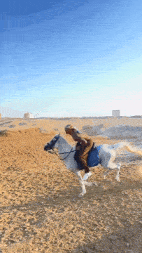 a person riding a horse in the desert