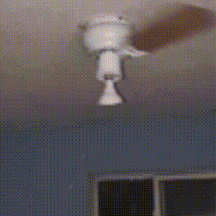 two white toilets are sitting next to each other on a wall in a bathroom .