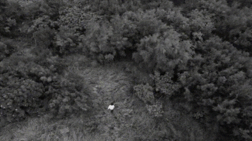 an aerial view of a forest with chinese writing on the ground