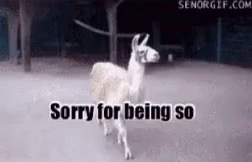 Fabulous GIF - Sorry For Being So Fabulous Fab Sassy GIFs