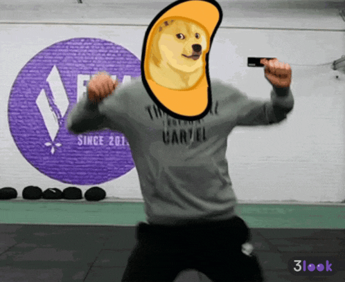 a man with a doge on his head is wearing a shirt that says " since 2017 " on it